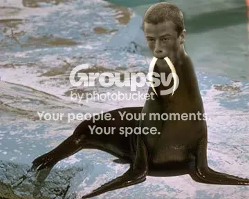 IPB Image
