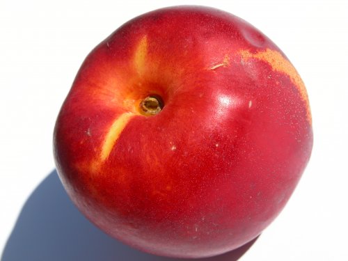 IPB Image
