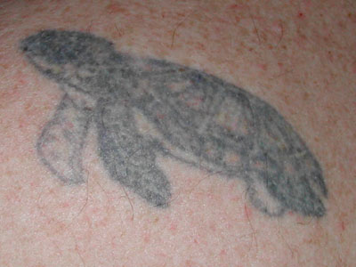 IPB Image