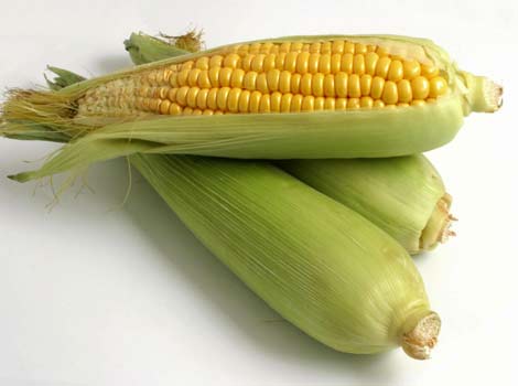 IPB Image