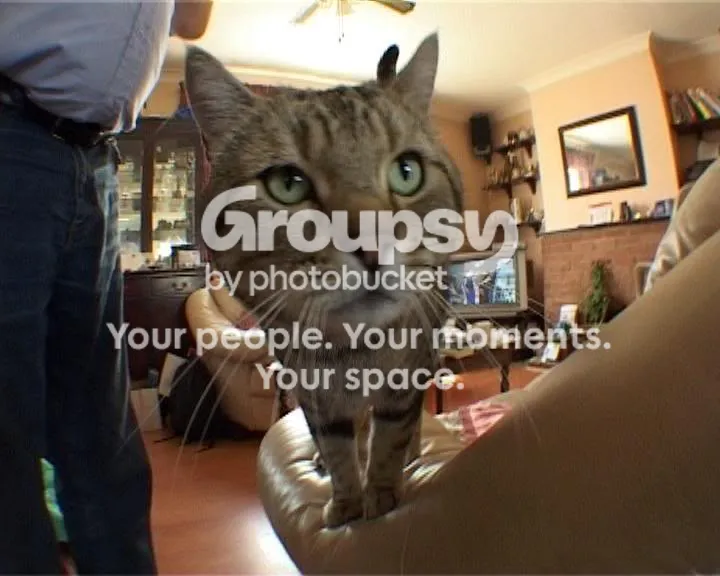IPB Image