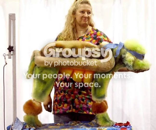 IPB Image