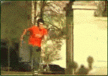 IPB Image