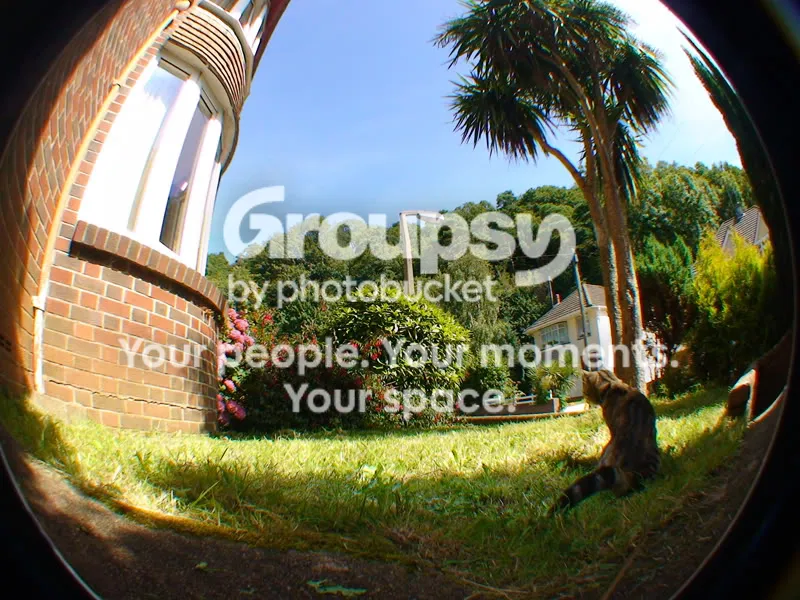 IPB Image