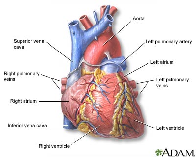 IPB Image