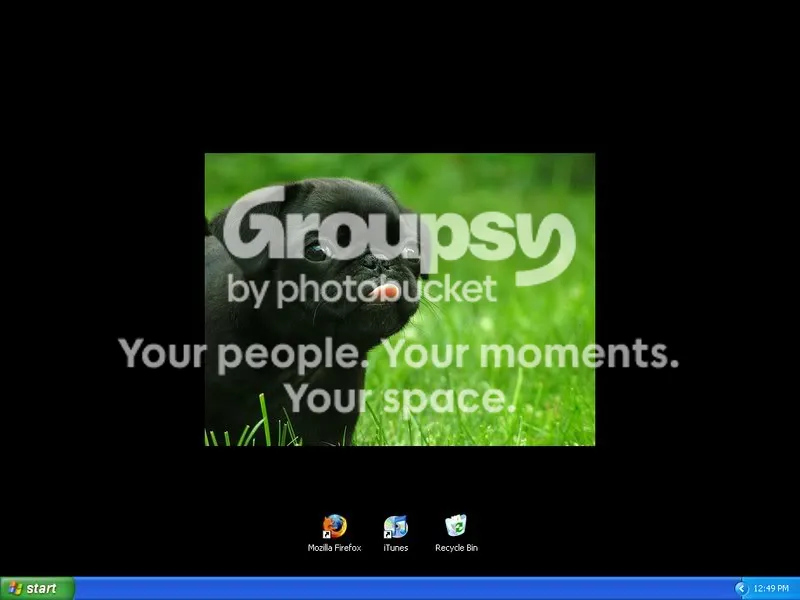 IPB Image