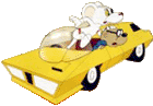 Locally preserved copy of an externally hosted image IPB Image