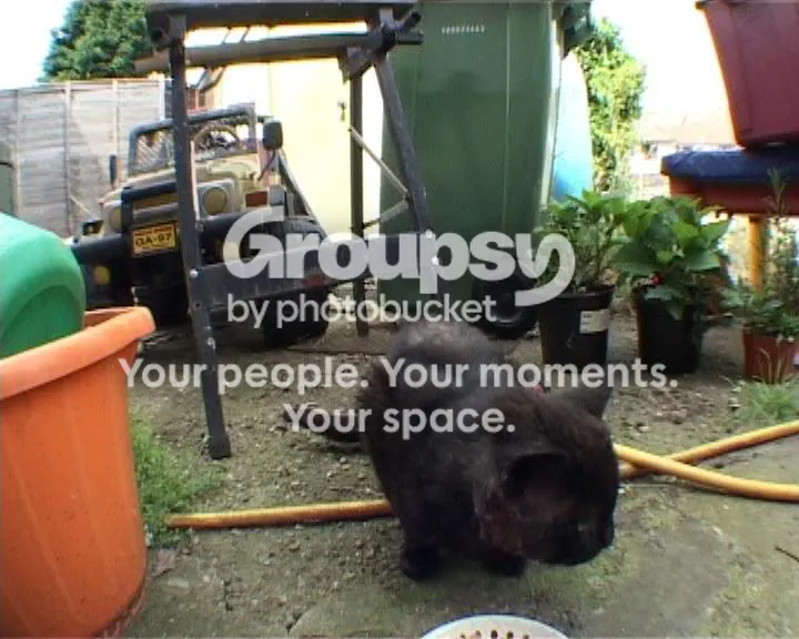 IPB Image