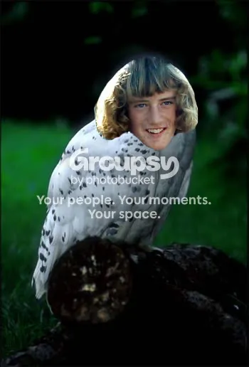 IPB Image