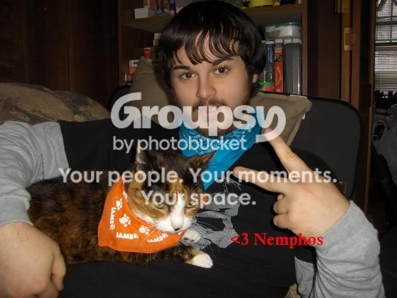 IPB Image