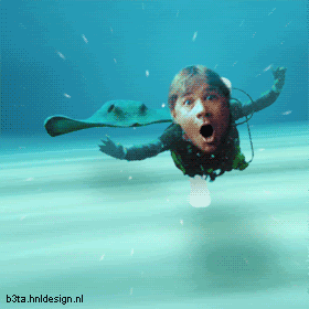 IPB Image