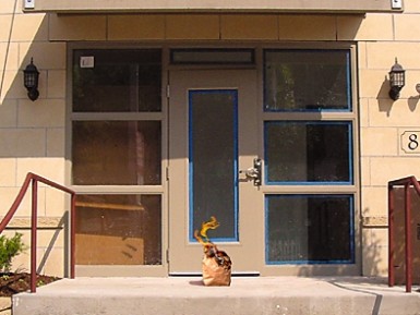 IPB Image