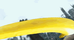IPB Image